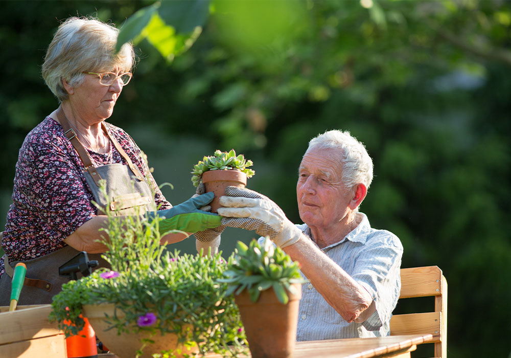 gardening for seniors, man and woman outside